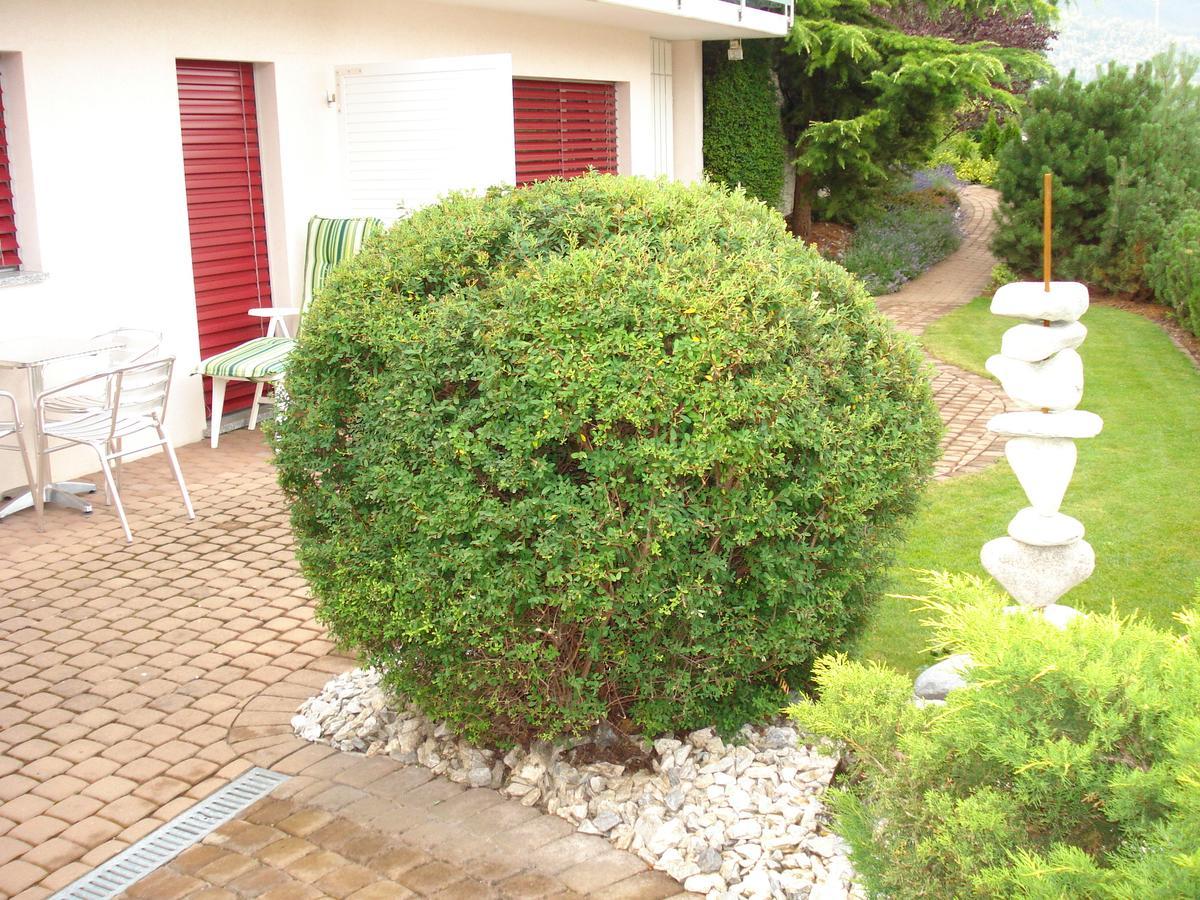 Ferienwohnung Lenggenhager Plantzette Сьер Экстерьер фото